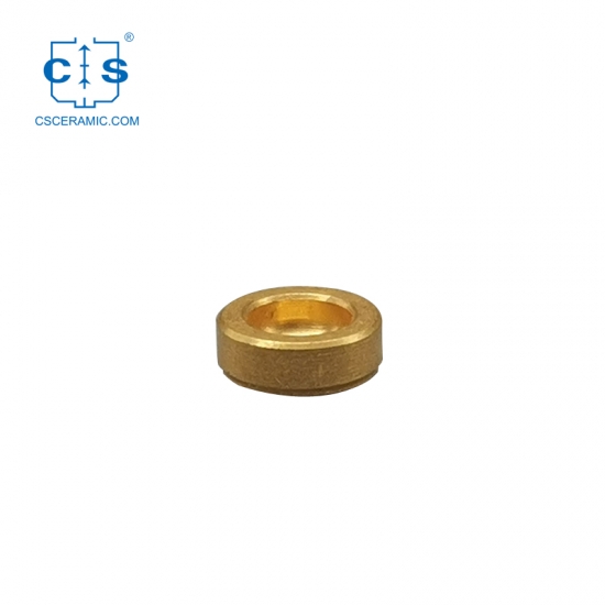40μl Einweg-Hochdruckkapseln Edelstahl vergoldet TA 900815.901(mit Deckel)
